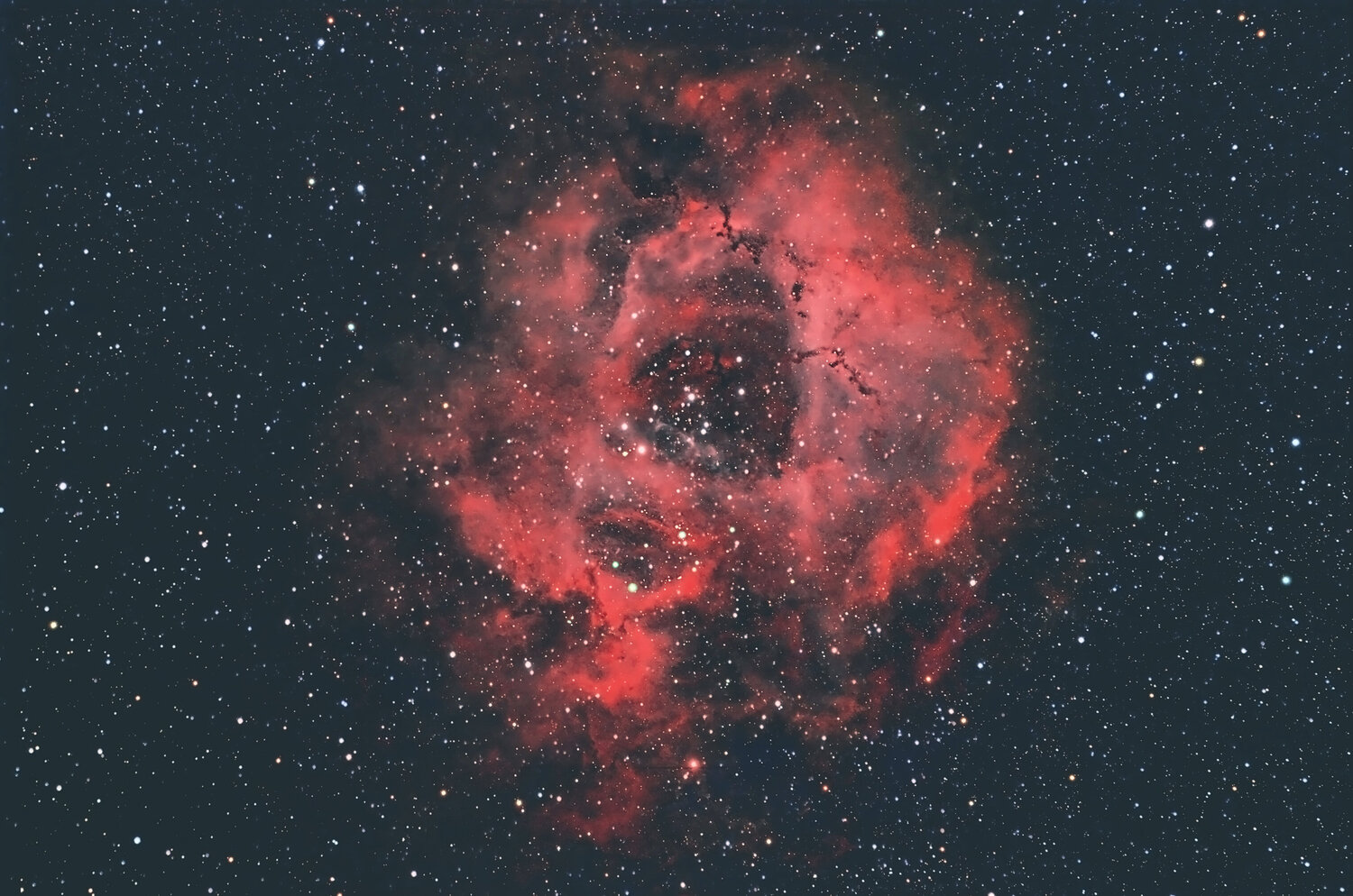 NGC2237-ED100-HOO&RVB.jpg