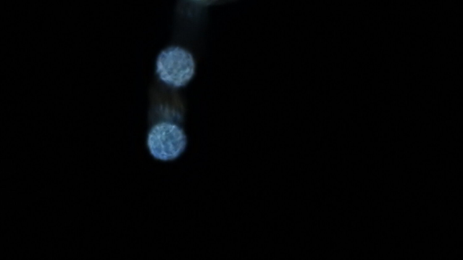 Je crois que c'est une etoile.JPG