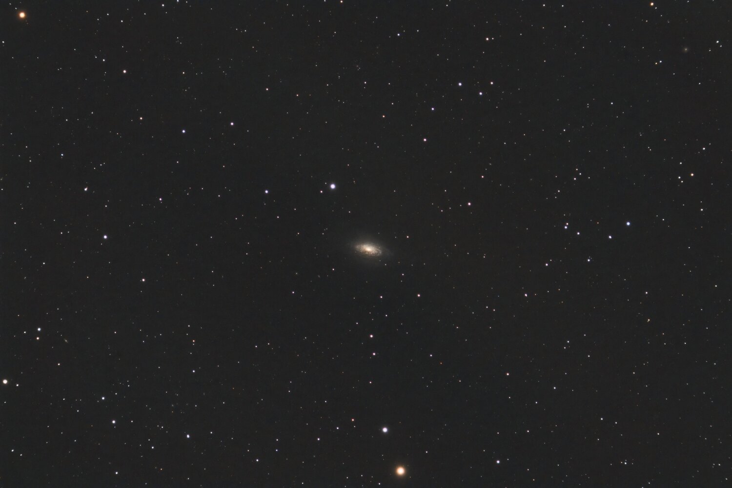 1658407598_NGC3521_RGB-ED80-siril-Pixfinale.thumb.jpg.cf2696cfa0e9e0019fa97fc00a6ba70b.jpg