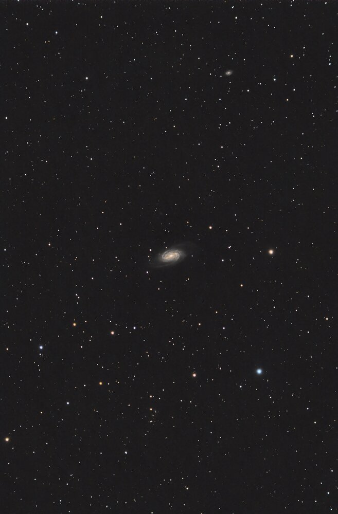 1763070186_NGC2903_RGB-sirtilbase-asinh-histo-PI-AI-finale.thumb.jpg.aab060ceae85fa7d0610c2a8e96bdf29.jpg