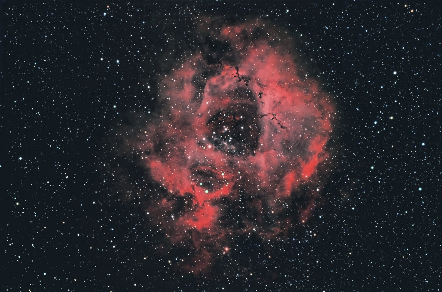 NGC2237-ED100-HOO&RVB.jpg