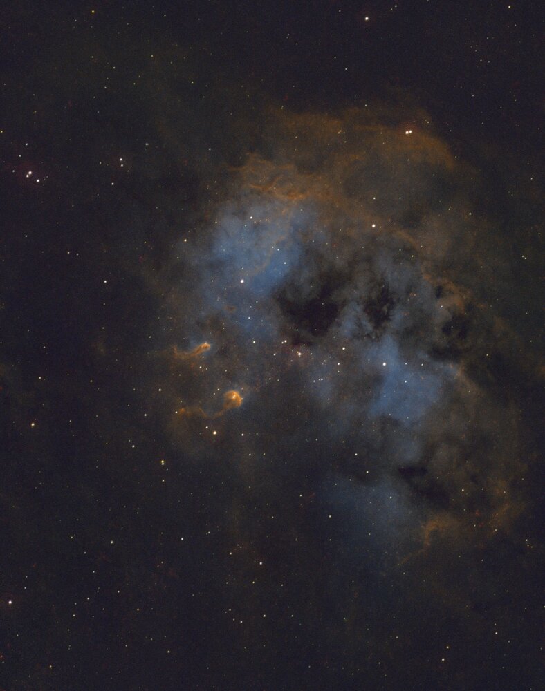 Tadpoles final v2.jpg