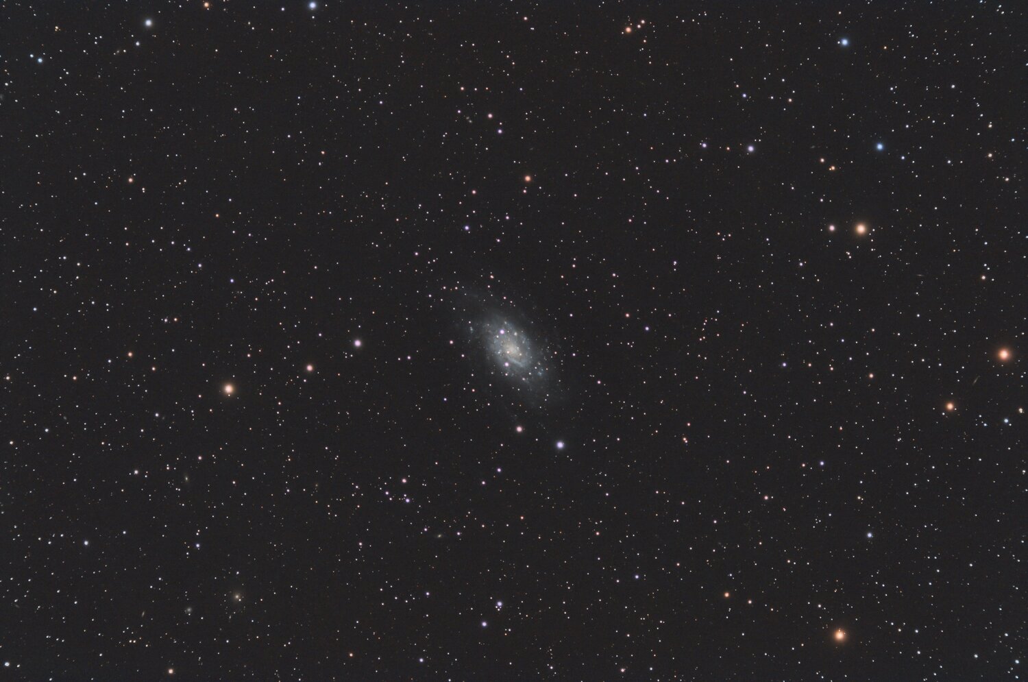 945250438_NGC2403_RGB-baseSiril-asinh-histo-V2-PI-finale.thumb.jpg.5e41b16b5c6ea21abf14d0f3bf0c4bd3.jpg
