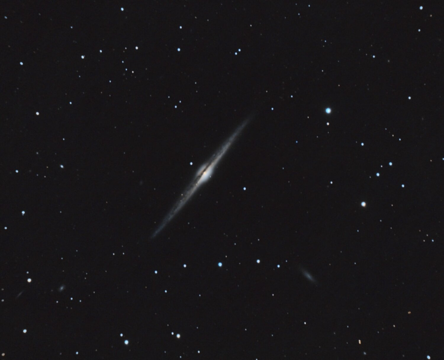 NGC4565_RGB-c8-siril-base-asinh-histo-V2-PI-finale.thumb.jpg.4194edac20f1c5a1f5ba1aa526a35a38.jpg