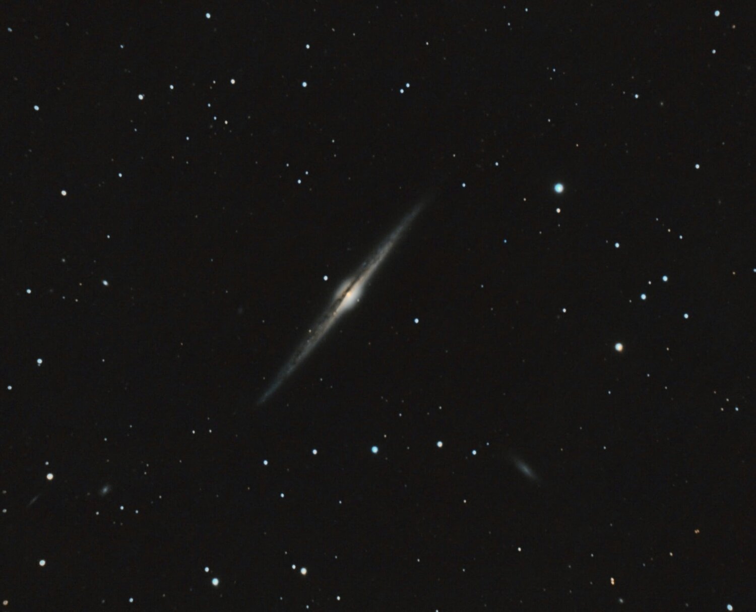 NGC4565_RGB-c8-siril-base-asinh-histo-V2-PI-finale.thumb.jpg.d684ca66470bd1e3b5aad4dac1eadcdb.jpg