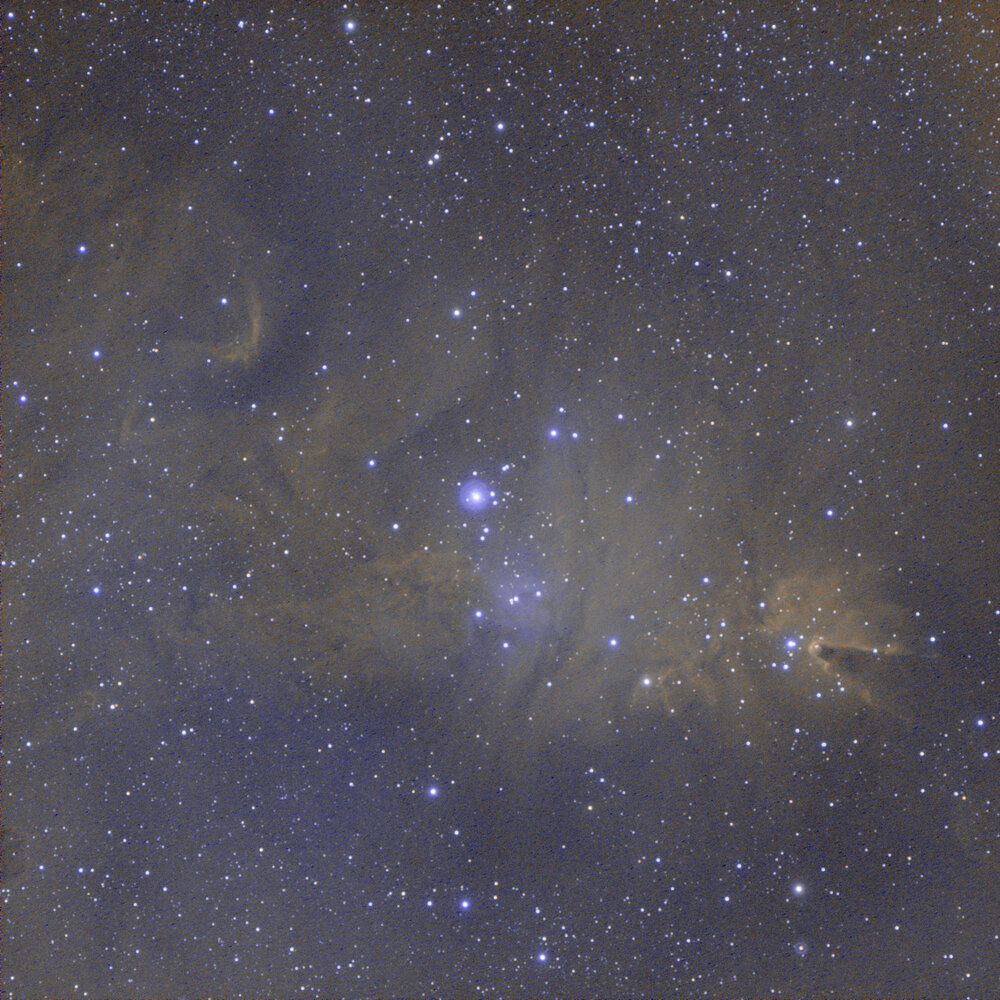 ngc2264bisjpg.jpg