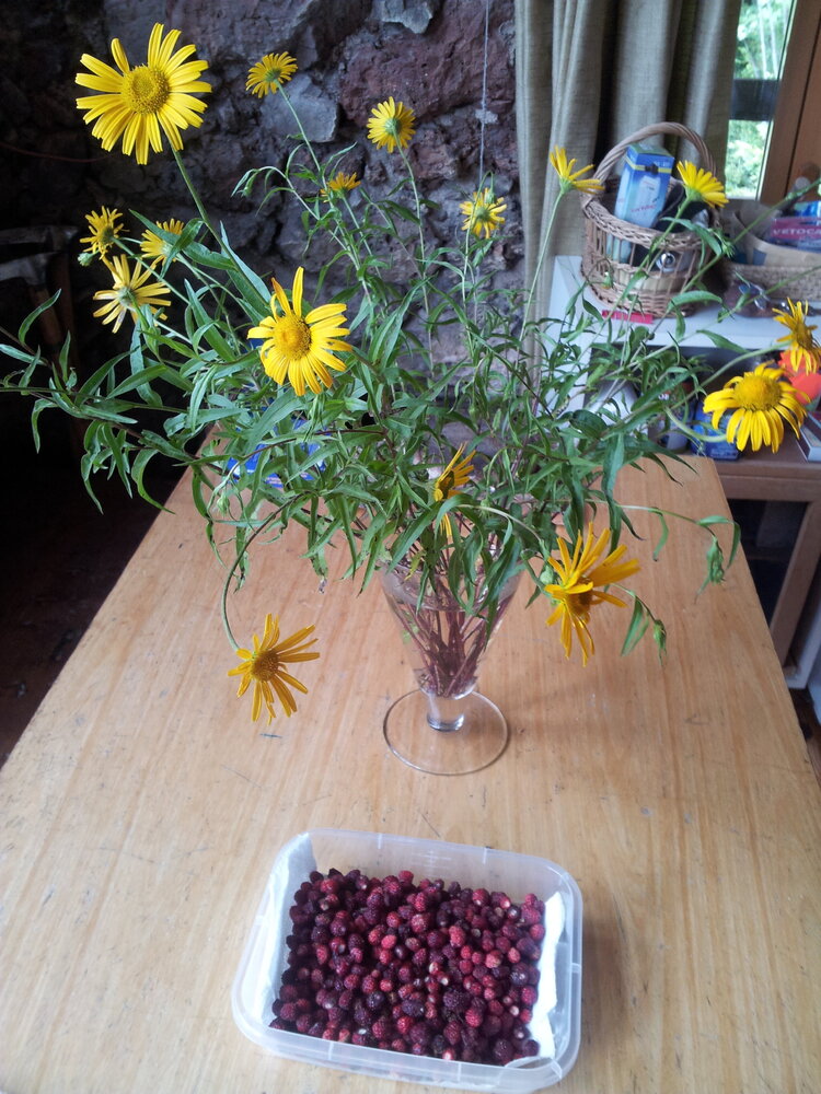 2016-07-08 14.13.05.jpg