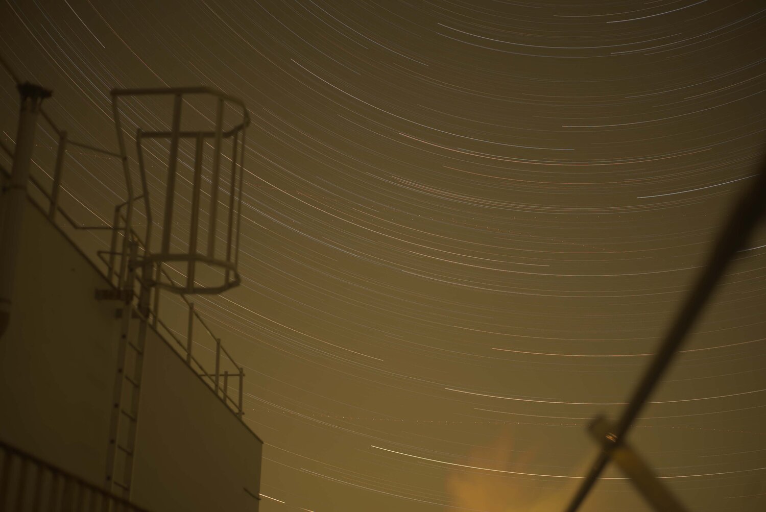 Cirmpolaire Gallo2.jpg