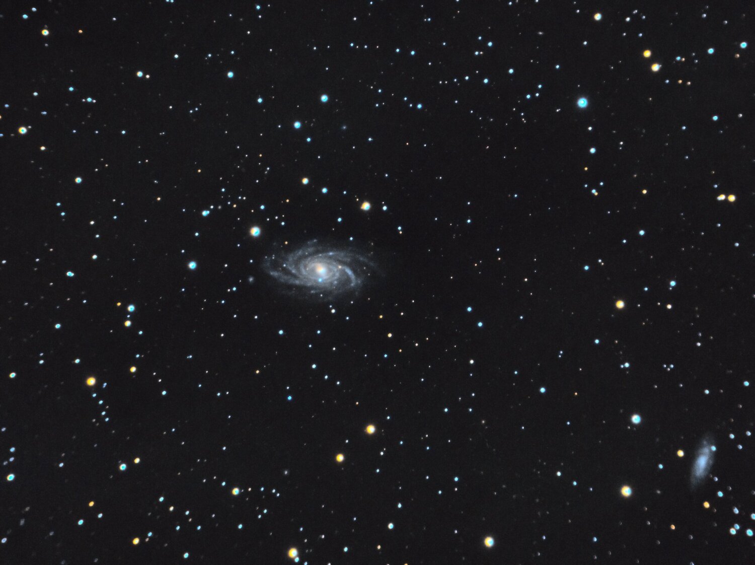 213852169_NGC2336_RGB-C8-sirilPix-finale.thumb.jpg.c9128992f2208684436218c0e9004fc6.jpg