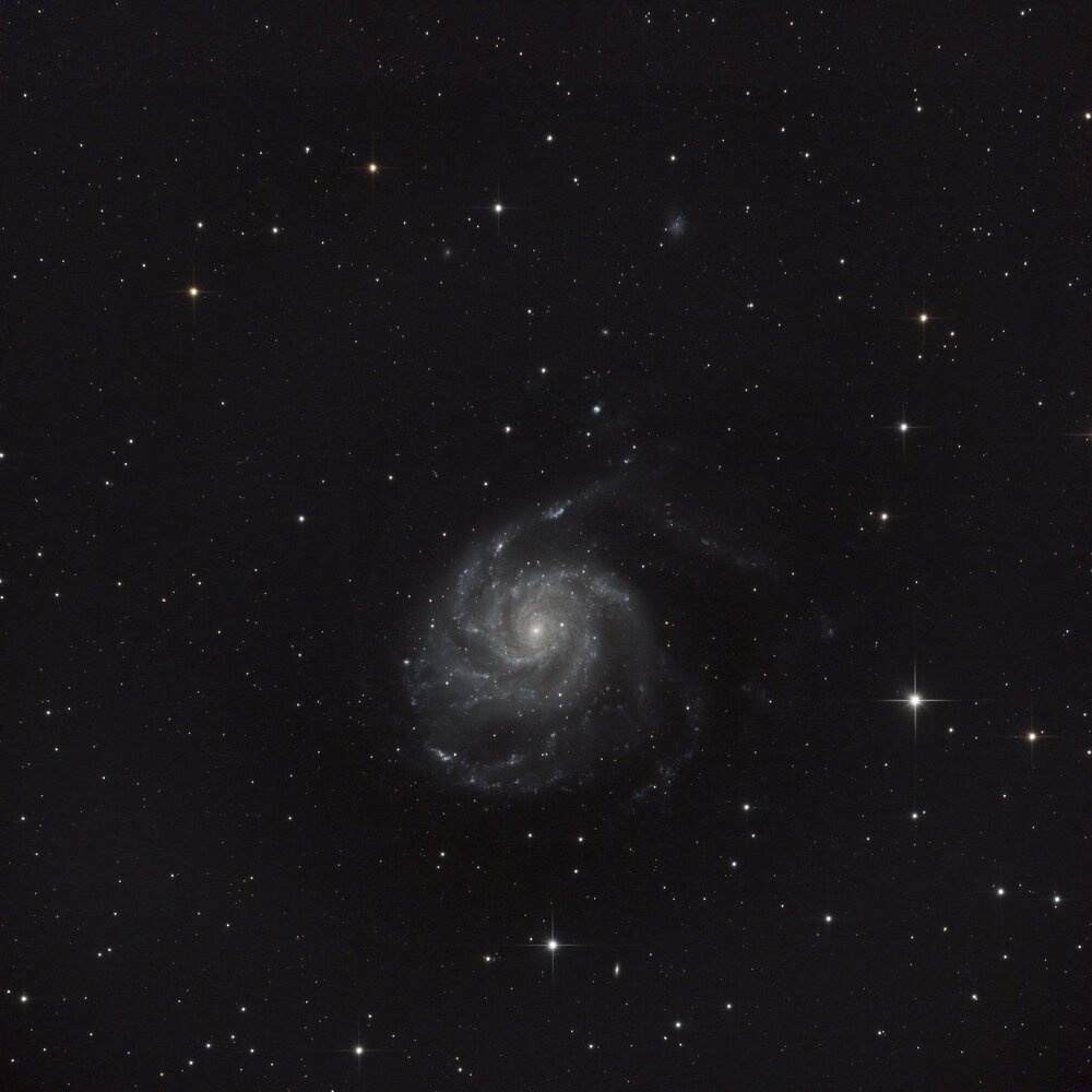 M101 2.jpg