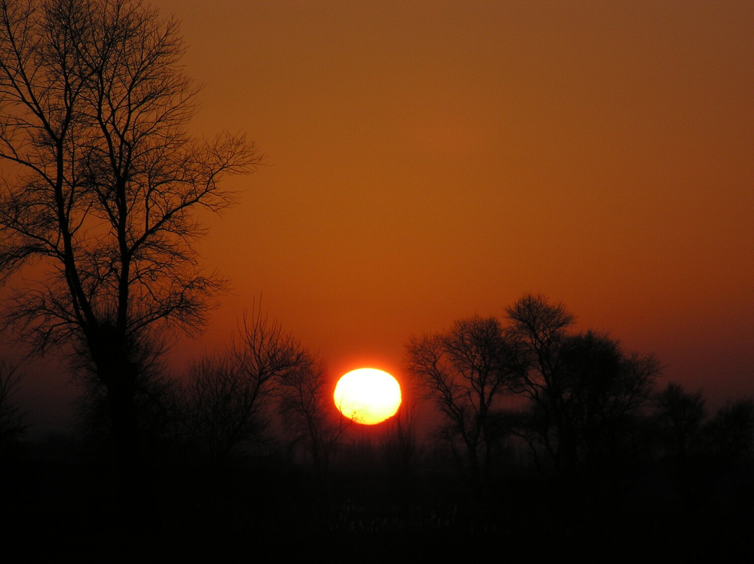 coucher de soleil.JPG