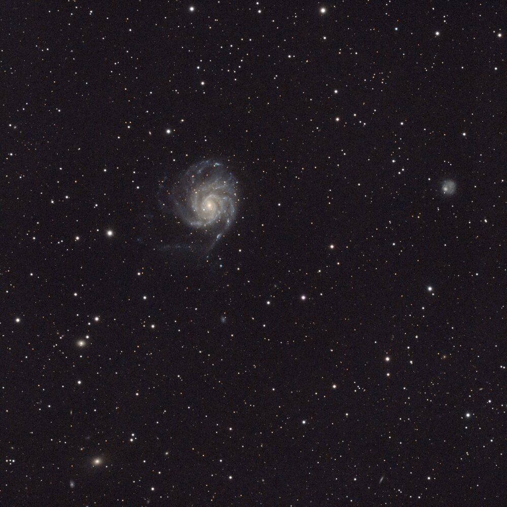 M101_02_light_2500.thumb.jpg.292c2ba12858bc5453d3bee9673044bf.jpg