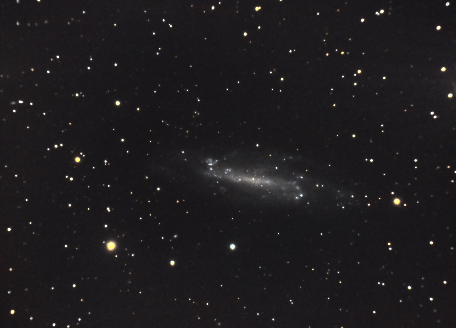 NGC4236_C8_RGB_siril_Pix-PS-finale.thumb.jpg.ce0af0af6da383664e680355813dea41.jpg