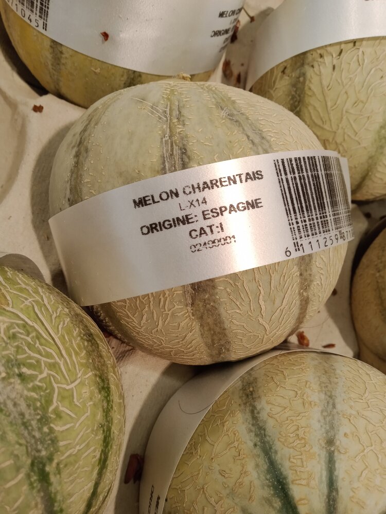 melons.thumb.jpg.566aab5d0270fc8b1b30da0bd2565d37.jpg