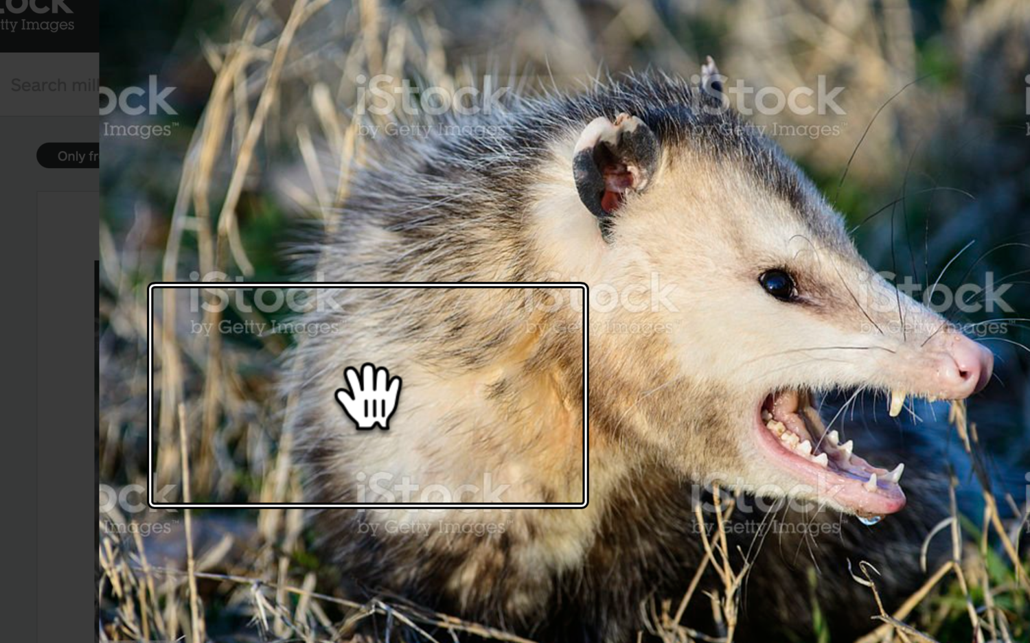 Screen Shot 2022-06-16 at 2.57.59 PM.png