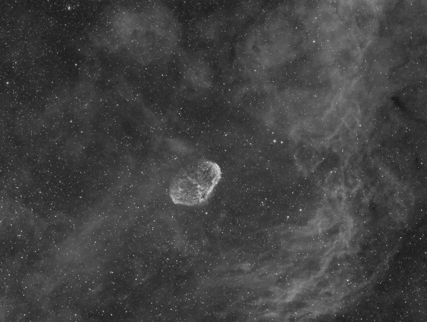 croissantHa_Ha_clone_DxO Peg .jpg