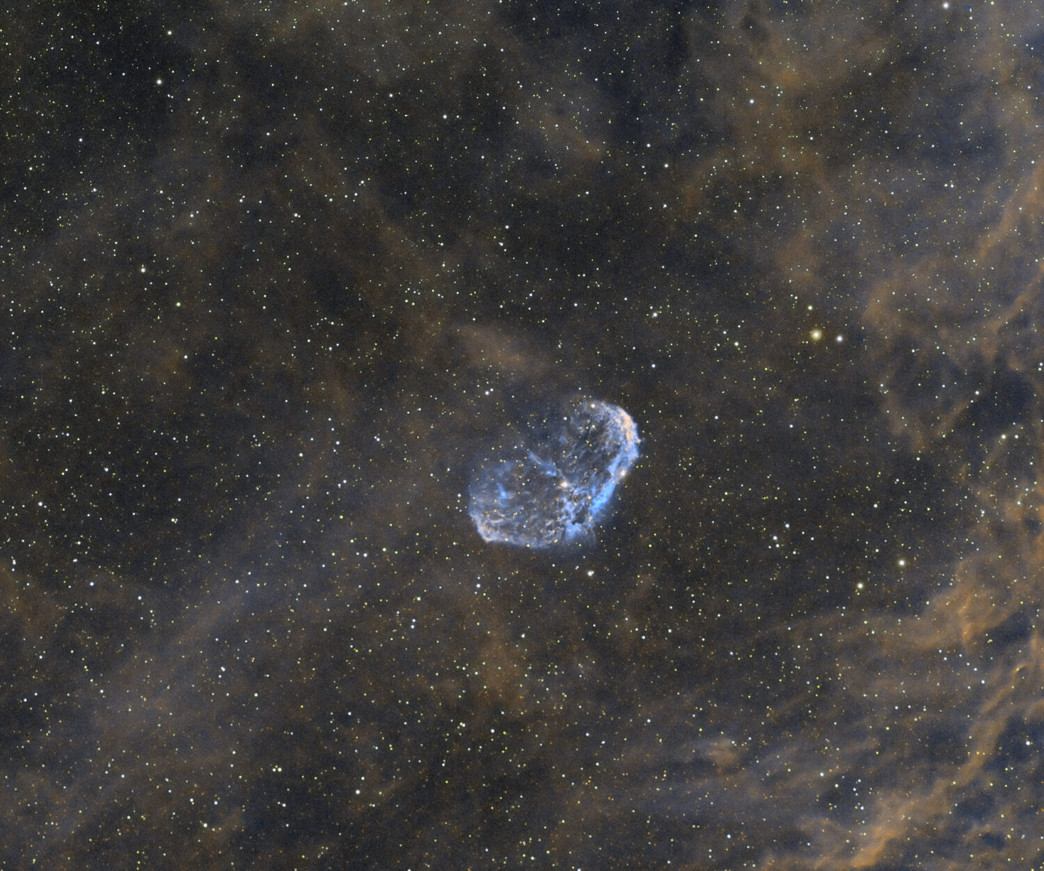 CroissantSHO_MDR_DxO Peg .jpg