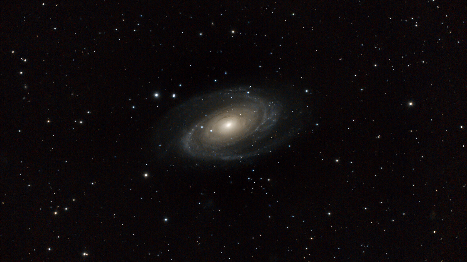 M81_web.jpg