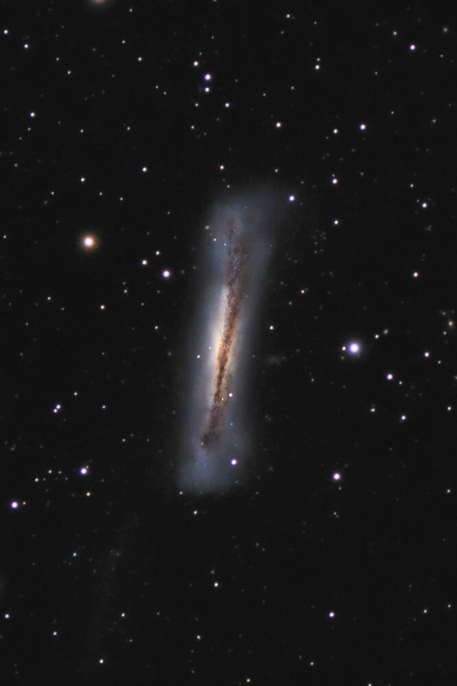 NGC3628.thumb.jpg.aded46b8d8424295a3bebe7ed9c206e9.jpg
