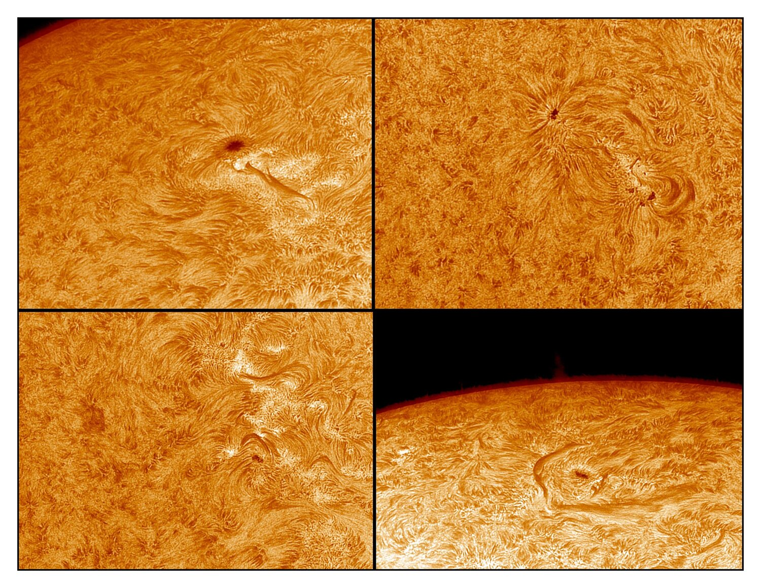 Soleil Ha_2022-07-21.jpg