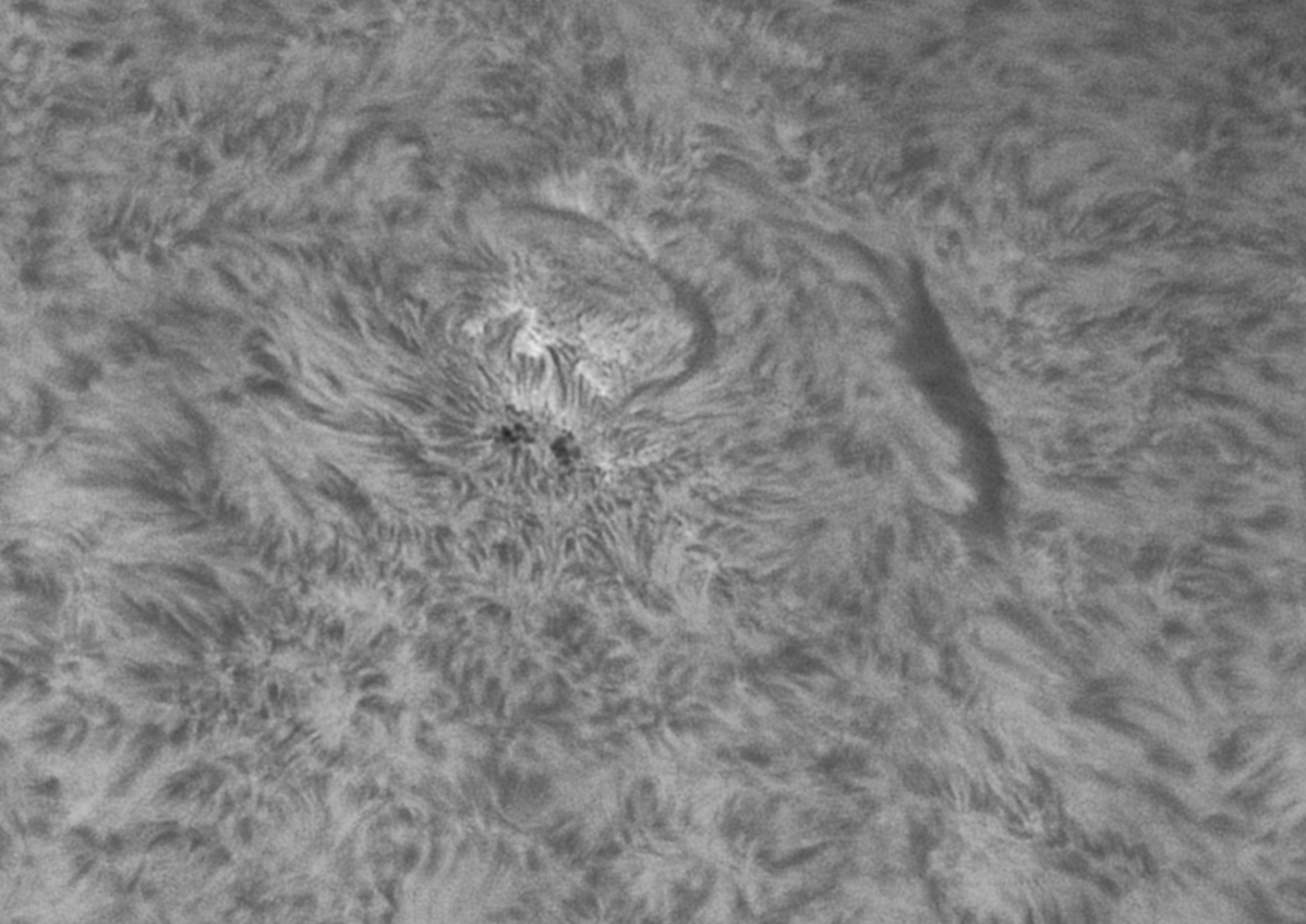 Soleil Ha_2022-07-18_4_NB.png