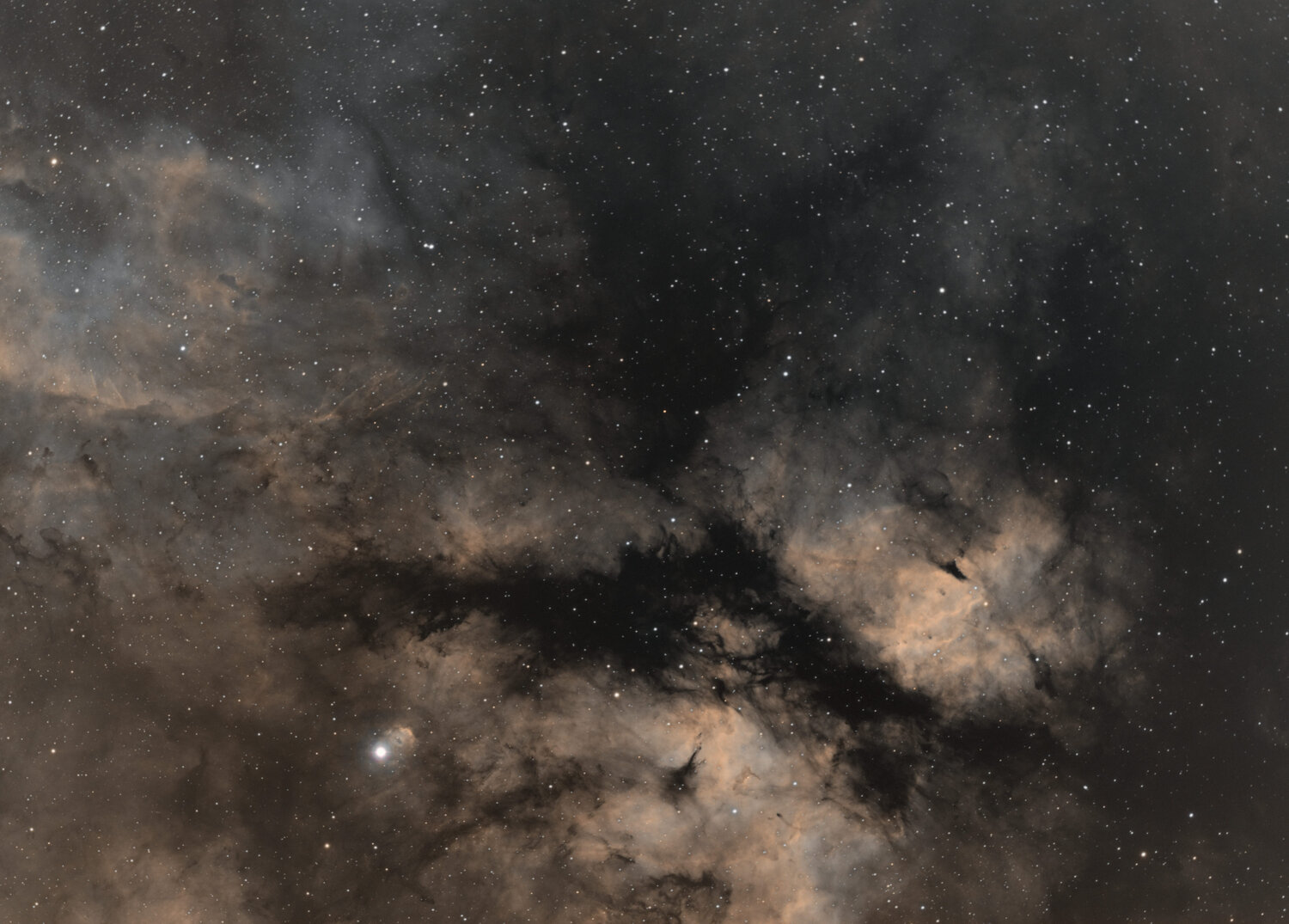 Image12_DxO Peg .jpg