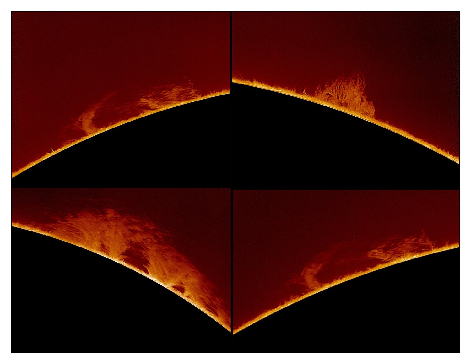Prrotus du 15-.7-2022.jpg