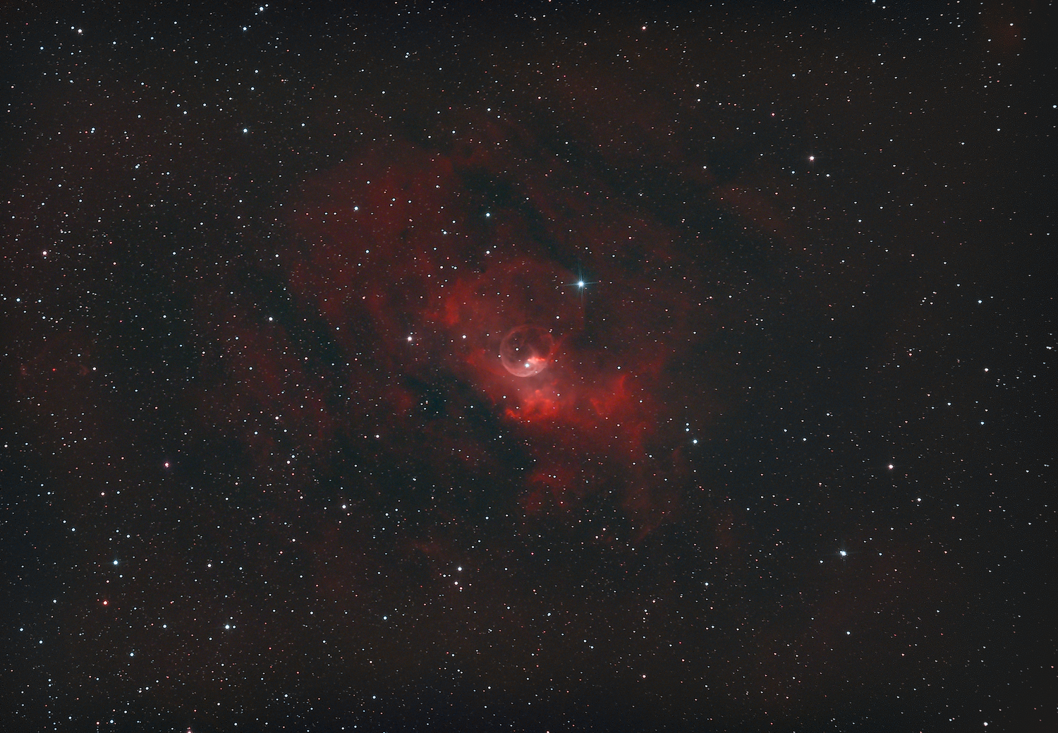 503995804_NGC7635_2022-07-15.png