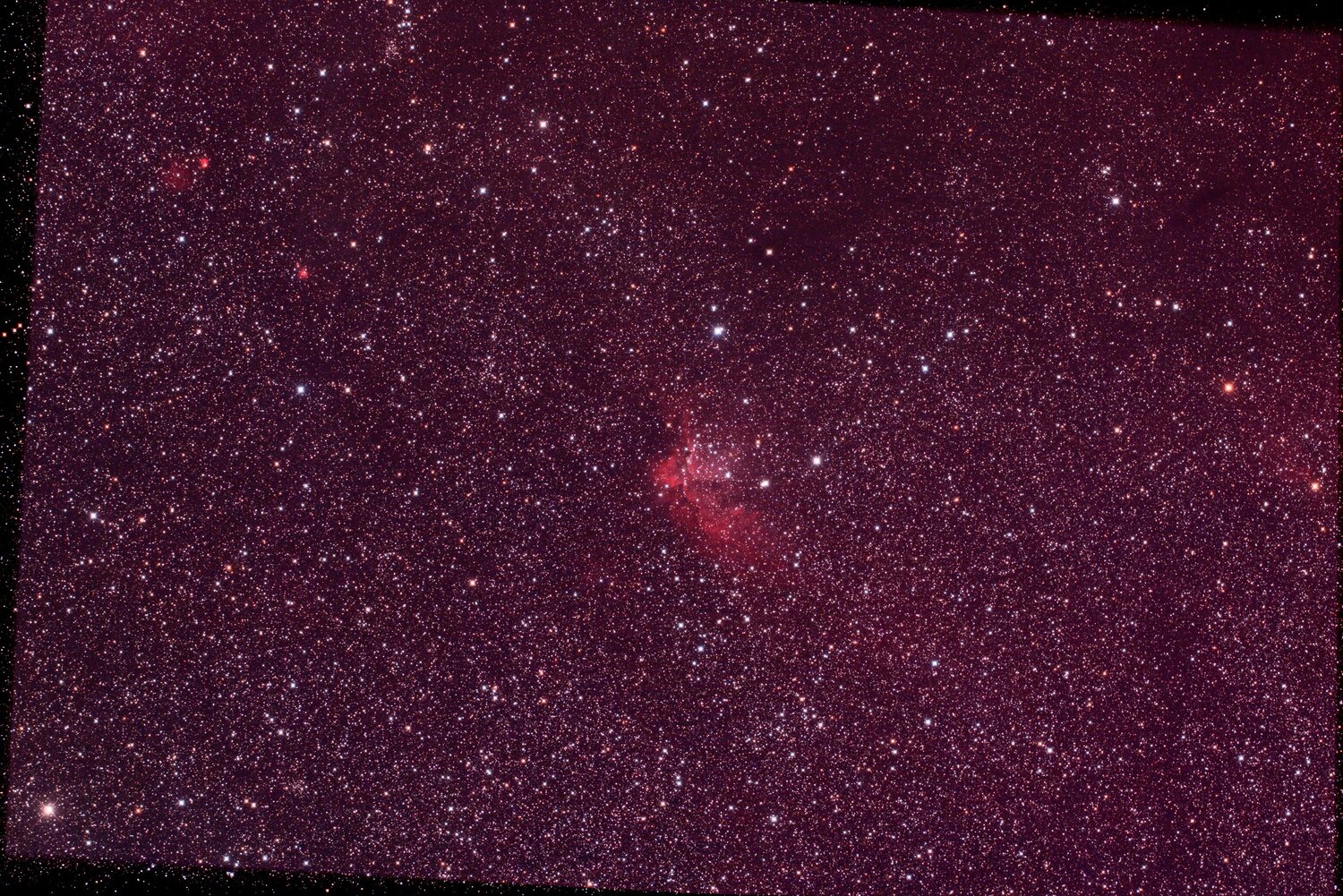 vitefait sorcier.jpg