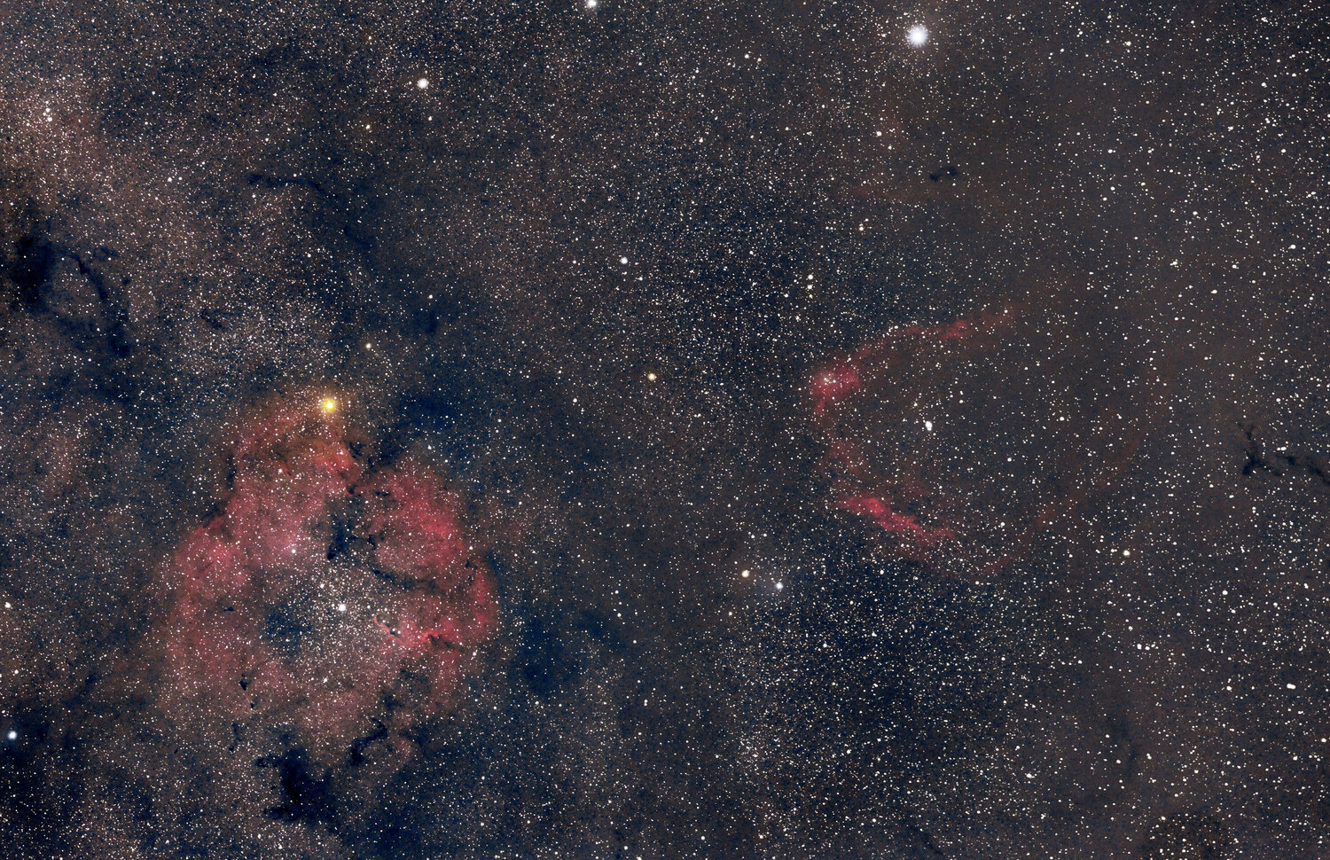 IC1396.thumb.jpg.0d26bae8a30e7d53fe5b1a2ef7542cc2.jpg