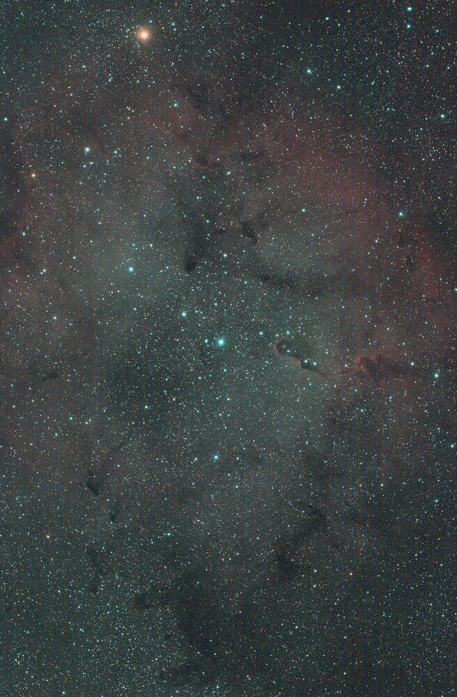IC1396R2.thumb.jpg.13938752620b08b7876c10ec728f9b4a.jpg
