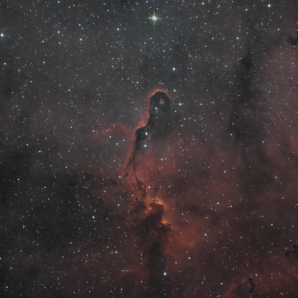 IC1396_7hr.thumb.jpg.4b9640da43d01b4685aa46567b8f3094.jpg