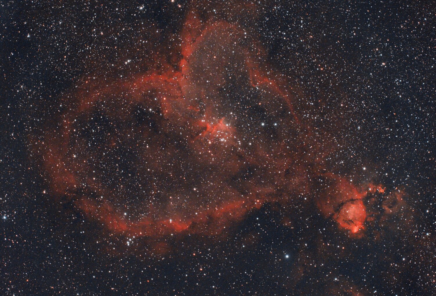 IC1805-12RR.thumb.jpg.7236d26257a4fbe378545bc0cd9f58ae.jpg