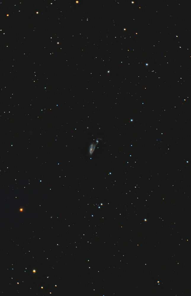 NGC5394-Siril-PS-finale.thumb.jpg.4ab8cee831ddf36c605e074fb8a01cc2.jpg