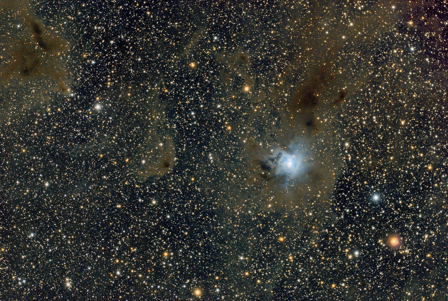 NGC7023.thumb.jpg.ed79a02b3899b2a05b086be78516bb46.jpg