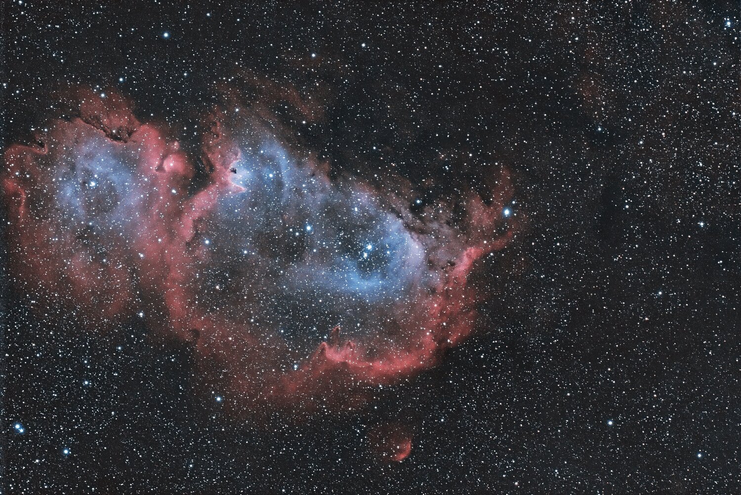 97605196_20220811-IC1848rsultatpostsiriletpi-DeNoiseAI-low-light.thumb.jpg.c32db6b16e3b819691d391e9ae25487a.jpg