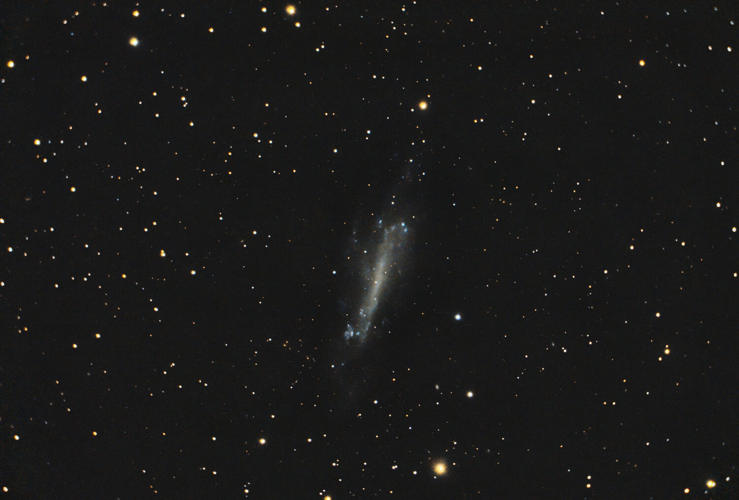 NGC4236-C8_RGB-siril-PS-V2.thumb.jpg.1134ed15e2673c26f467e9e458593505.jpg