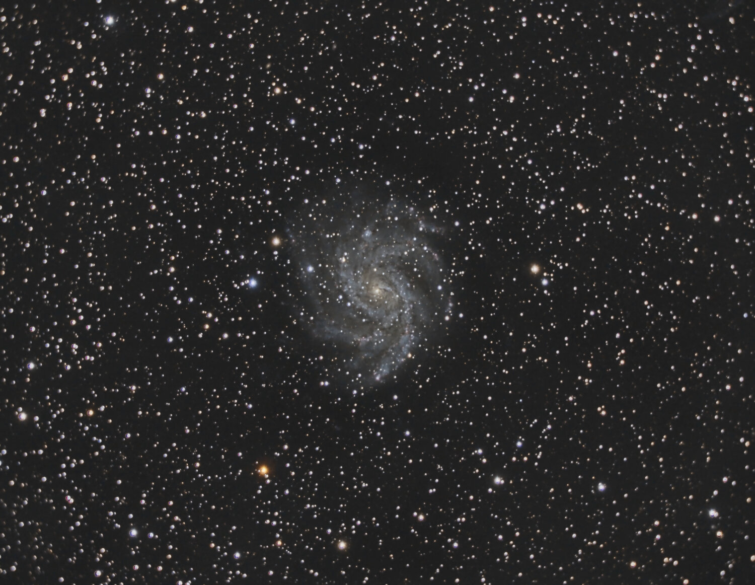 NGC6946-Meade_RGB-siril-gradient-photom-scnr-Pix-MLT-MS-ACDNR-autoscript.thumb.jpg.00db0877454e33bad075dad801bb7bad.jpg