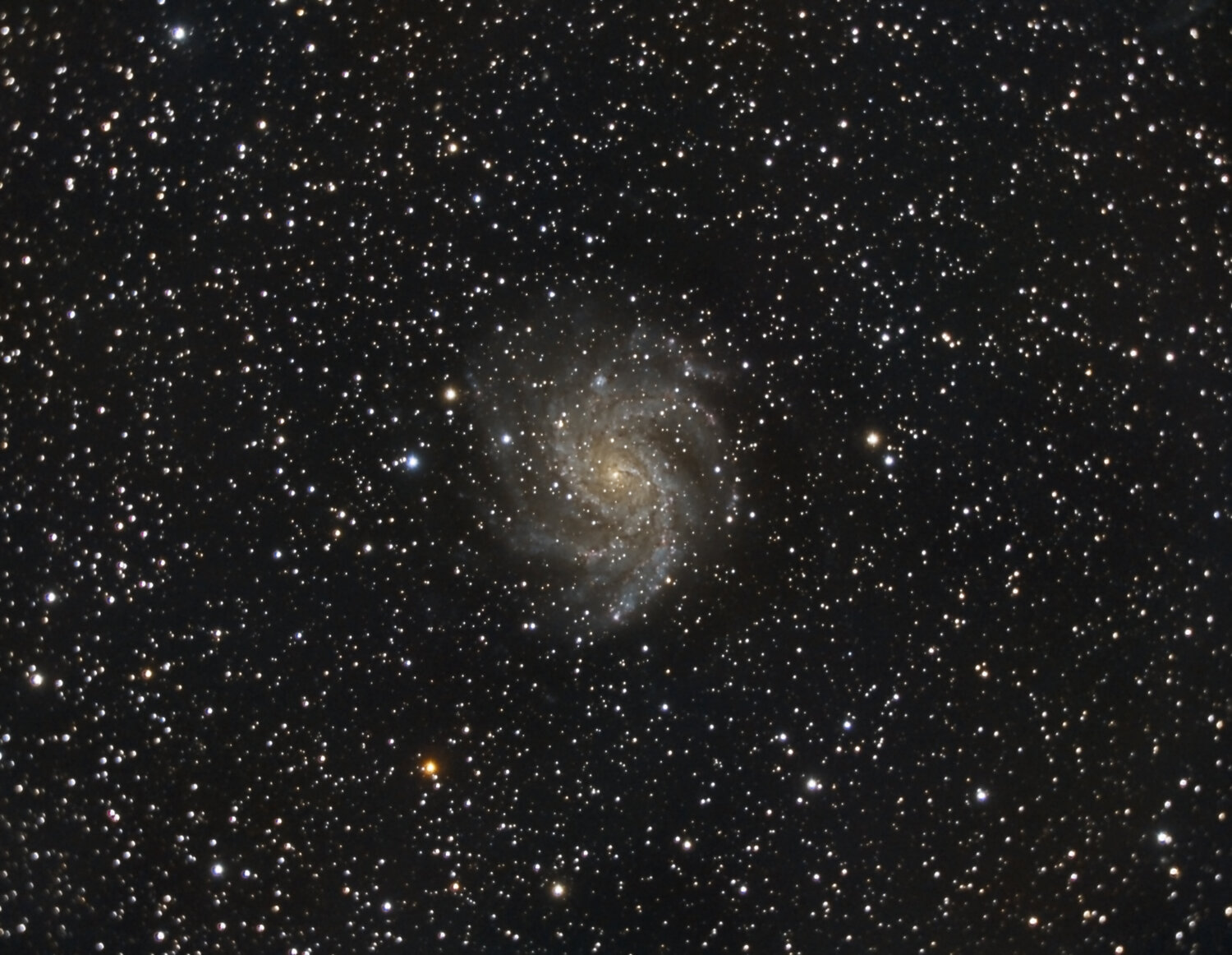 NGC6946_Meade_RGB_siril_gradient_photom_scnr_Pix_MLT_MS_ACDNR_edit_undo1.thumb.jpg.d5caa03c32ffc477f753ab6f9a8f2c68.jpg