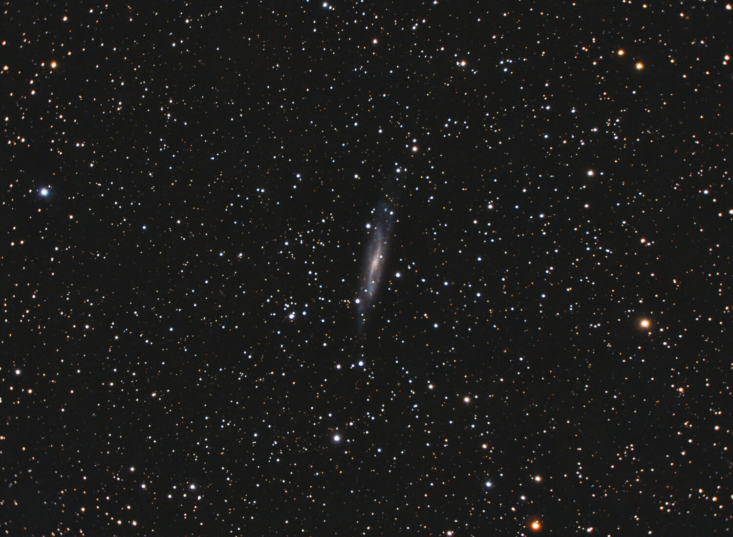 NGC7640-C8_RGB-siril-PS-finale.thumb.jpg.a59438e32b1b2498f13d8c5e6b87a6ef.jpg