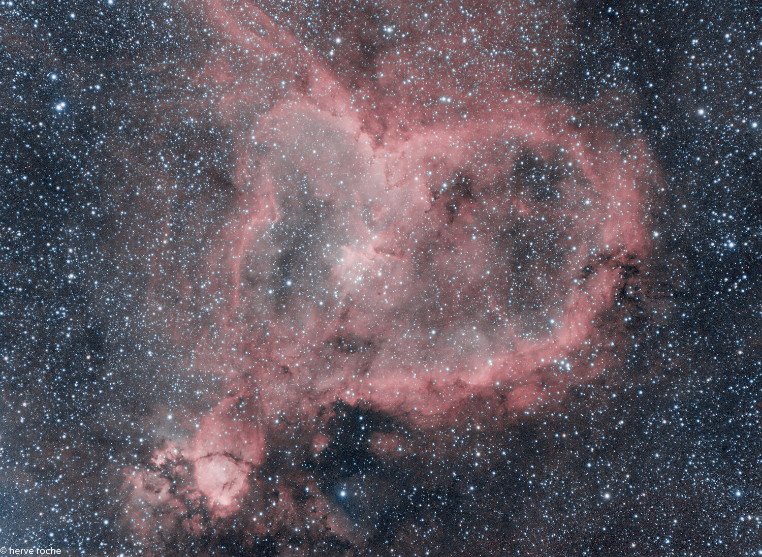 ic1805-600s-V4.jpg