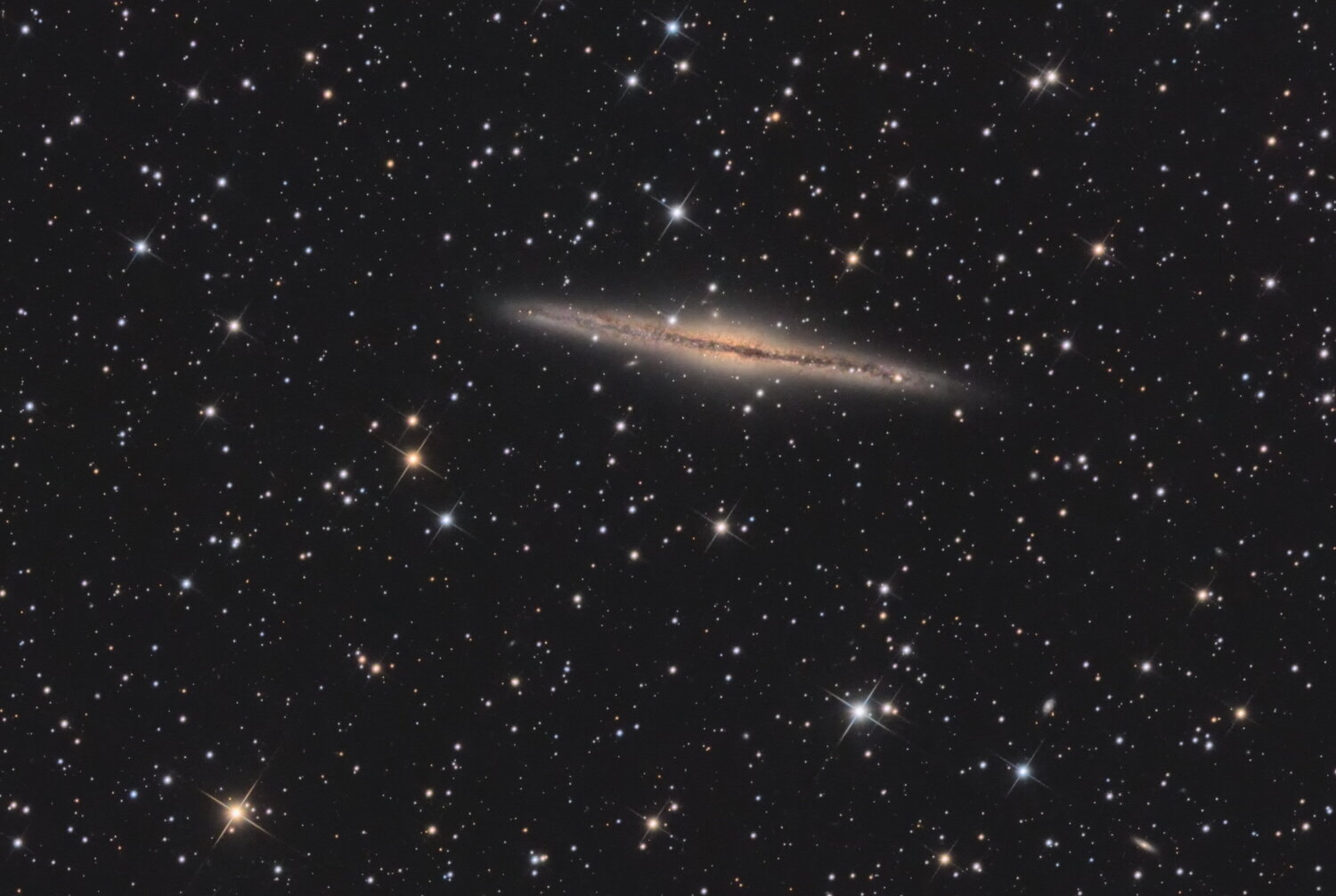 Galaxie_NGC891_finale_crop.thumb.jpg.a979c1c7d718b8c7e0d619cf6e46213d.jpg