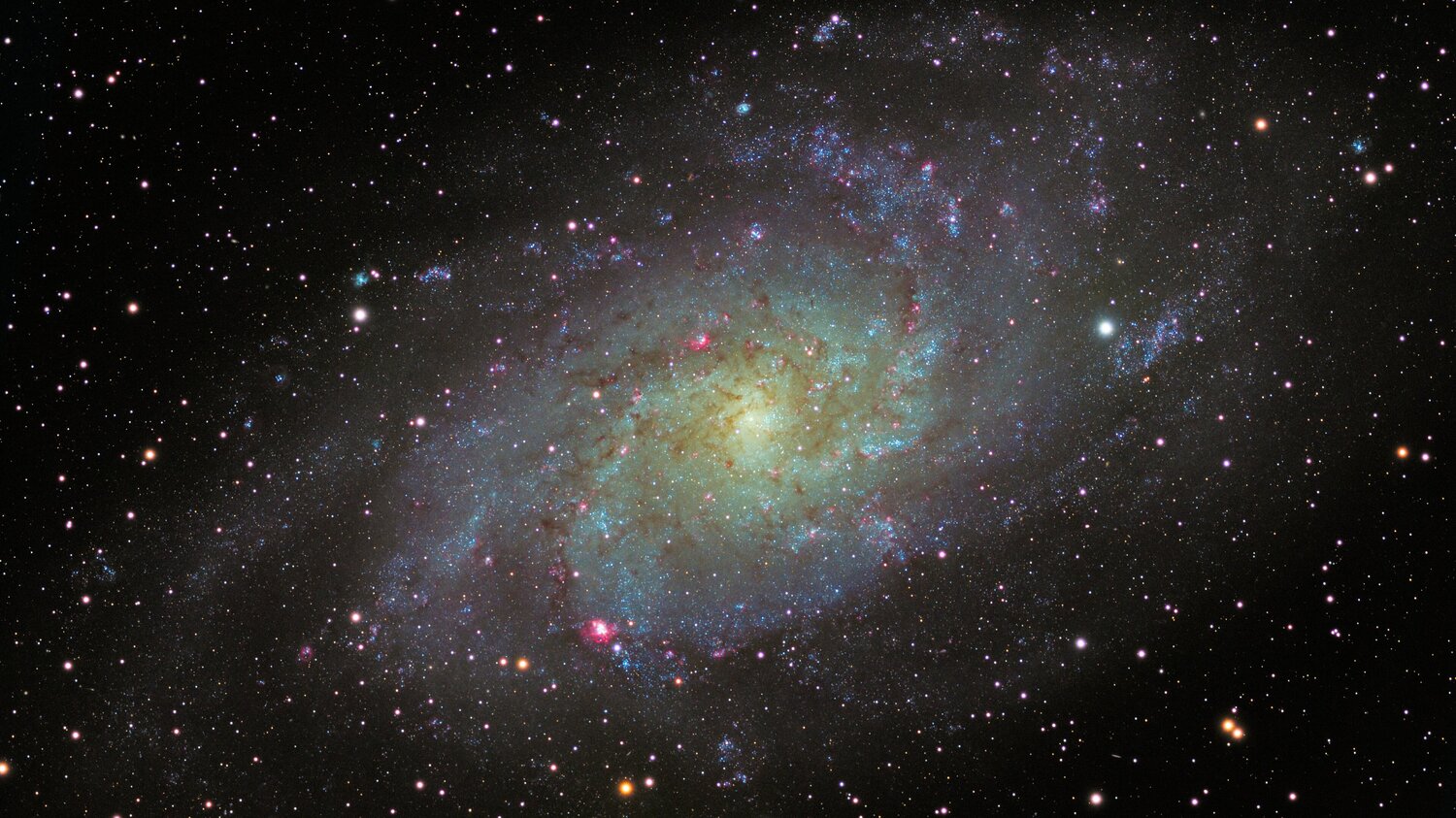 M33_ASI2600mm_APM_50L_20H_20RVB_180s_4k.thumb.jpg.429e16bd15c8f6bf3edb8e73ce8cf0db.jpg