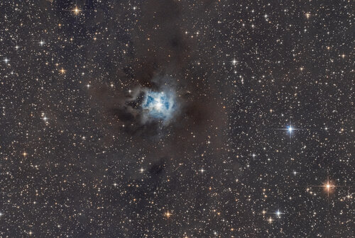 Plus d’informations sur « NGC 7023 L' Iris »