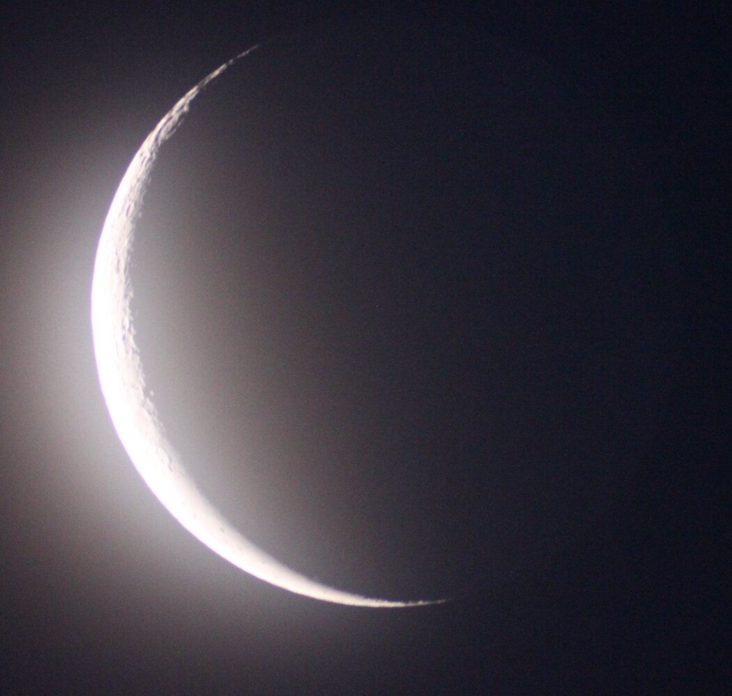 IMG_3405-pivotée G 90°-rognée.jpg