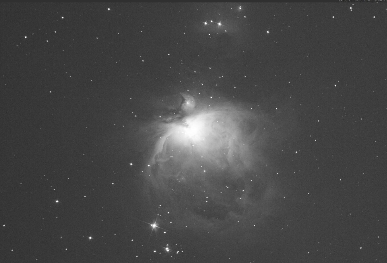 brute auto ajust.jpg