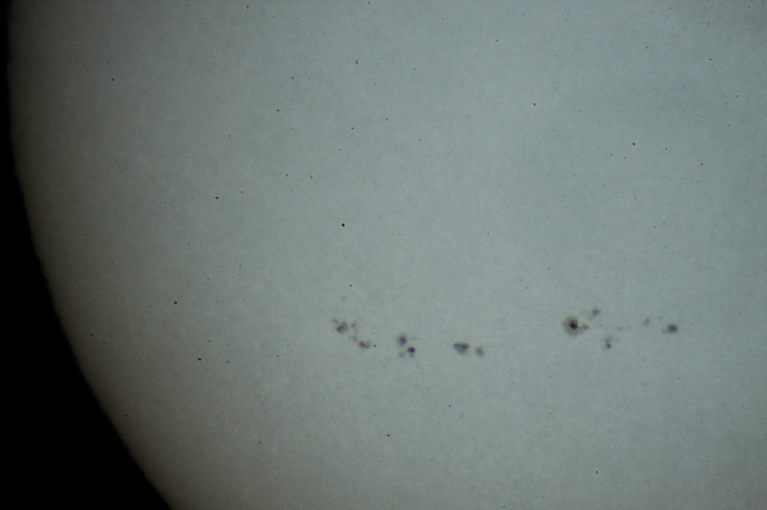 IMG_3423-CR2-retourné H.jpg