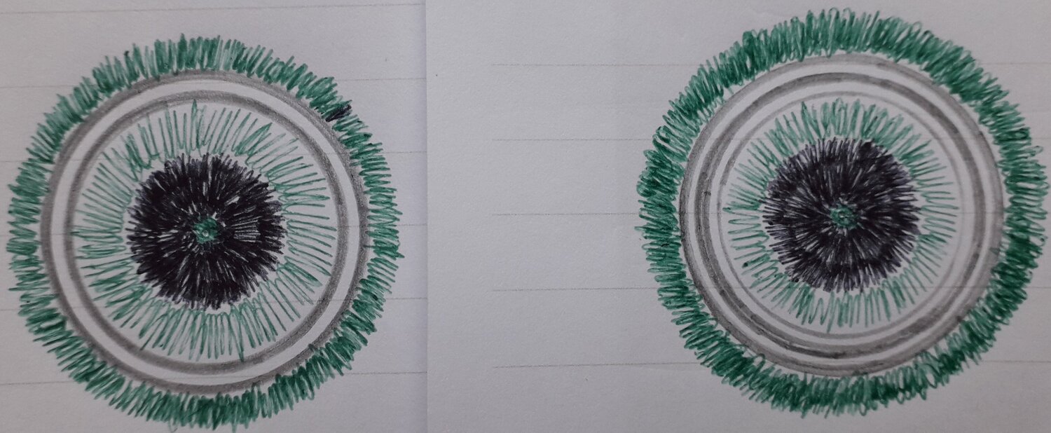 figure défocalisée 2.jpg