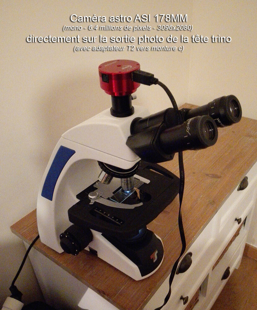 178mm_microscope.thumb.jpg.b9e5a79c1297b10d9e6574822eb4bf1b.jpg