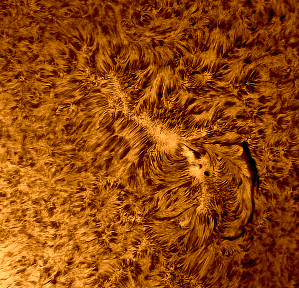 2022-11-27-1305_6-AC-IR-Sun_Halpha__100r_24Tfgg_329reg.png
